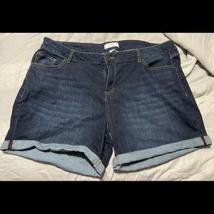 Lane Bryant Jean Shorts